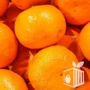 Frutos Peruanos exports Peruvian Fruits mandarins