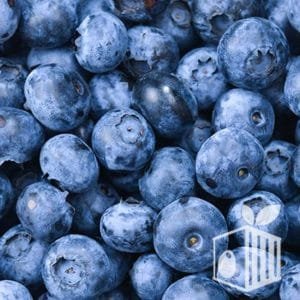 Frutos Peruanos exports Peruvian Fruits blueberries