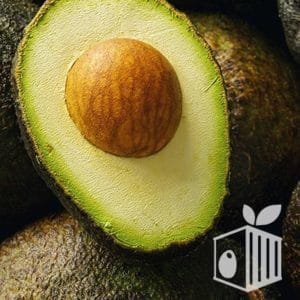 Frutos Peruanos exports Peruvian Fruits avocado aguacates paltas