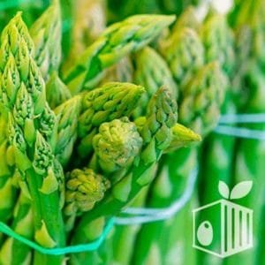 export Peruvian Fruits Asparagus