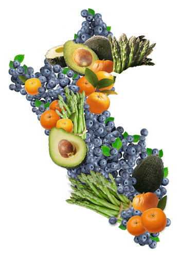 Frutos Peruanos exporta frutas frescas del peru