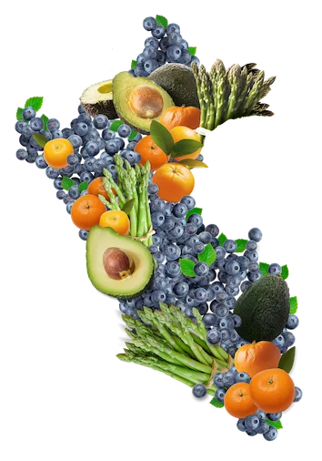 Frutos Peruanos exporta frutas frescas del peru